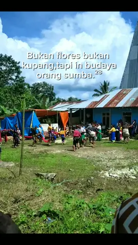 #nttpride🏝🔥 #budayaorangsumba #fyppppppppppppppppppppppp #4upage #nttpride🏝🔥fypシviral #lewatberandafyp 