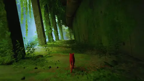 #real #nature #core #peace #stray #gaming 