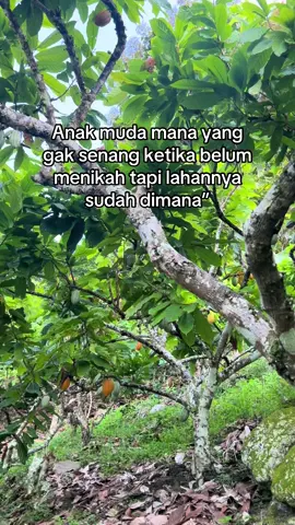 #kakaolokal #AniDisini 