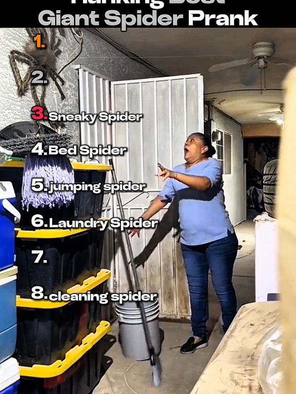 Ranking Giant Spider Prank#rankings #prank #funny #spider