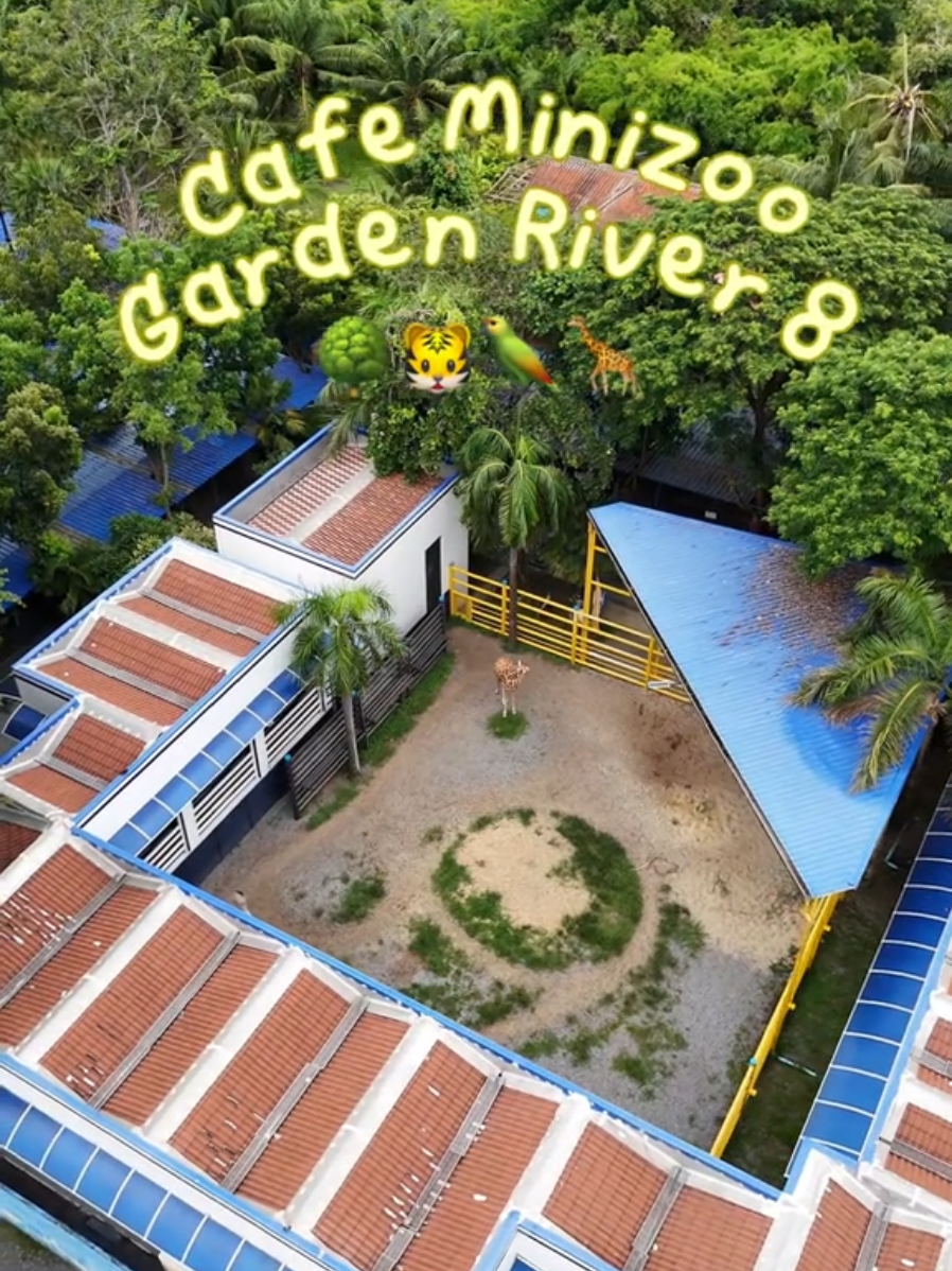 📍 Cafe Minizoo Garden River 8 - คาเฟ่ มินิซู การ์เด้นริเวอร์ 8  🦁🐯🦒🌳 ~ปทุมธานี~ วันหยุดนี้แวะมาหากิจกรรมสนุกๆทำกันเถอะ! จัดเต็มความสุขและความน่ารักไว้แบบฉ่ำๆ กับพิกัดสุดว้าวตัวตึงย่านบึงบอน-คลอง 8 จ.ปทุมธานี ที่บอกเลยว่ามากับก๊วนเพื่อนก็ฟิน มากับครอบครัวก็จอยกันแบบทั่วถึงแน่นอน ที่สำคัญคือบรรยากาศภายในมินิซูร่มรื่นและเย็นสบายด้วยพื้นที่สีเขียวของต้นไม้น้อยใหญ่ที่ปกคลุมอยู่ทั่วทุกพื้นที่ ทำให้การเดินชมสัตว์นานาชนิดหรือทำกิจกรรมต่างๆเป็นอะไรที่เพลินจนลืมเวลาไปเลยจริงๆ   ✨️ น้องใหม่มาแล้ว! น่ารักจนใจเหลวให้กับ 2 ตัวดื้อเบอร์ใหม่สมาชิกอันดับล่าสุดของที่นี่ น้องเป็น “ลูกสิงโตขาว” ชื่อว่า “น้องบิงซูและน้องซูก้า” เป็นเหมือนแมวยักษ์ที่ซนได้น่ารักน่าเอ็นดูม๊ากมาก อยากชวนให้ทุกคนรีบแวะมาเล่นและถ่ายรูปคู่กับ 2 แสบนี้จริงๆ โดนตกไปทั้งใจแน่นอน 🦁 🐯 ความพีคแบบไม่มีใครเหมือนของที่นี่ก็คือ เขามีเสือสตรอว์เบอร์รี่เยอะที่สุดในโลก! และตอนนี้แม่เสือกำลังตั้งท้องเบบี๋ให้เราได้ติดตามรอชมความน่ารักของว่าที่สมาชิกใหม่กันอีกด้วย  🦒 นอกจากนี้ ที่นี่ยังรวบรวมสารพัดสัตว์หายากจากทั่วทุกมุมโลกที่ได้รับการจำแนกตาม “สถานะการอนุรักษ์” ขององค์การระหว่างประเทศเพื่อการอนุรักษ์ธรรมชาติ (IUCN) ให้แวะมาเยี่ยมชมมากมาย บอกเลยว่าบางตัวแรร์สุดๆ 🦤 สัตว์หายากทุกชนิดของที่นี่ได้รับการดูแลเป็นอย่างดี ทำให้น้องๆเฟรนด์ลี่และพร้อมต้อนรับทุกคนแบบสุดๆ ว่าแล้วก็ขอแนะนำสัตว์ที่เป็นไฮไลท์ของที่นี่อย่าง เสือสตรอว์เบอร์รี่, เสือทองคำ, เสือขาว, เสือโคร่ง, ยีราฟลายร่างแห, ลีเมอร์แดง, ลีเมอร์ดำขาว, ลีเมอร์หางวงแหวน, ลิงแมงมุมเจฟฟรอย, ลิงคิงโคโลบัส, ลิงแคมป์เปลโมนา, ลิงจมูกขาว, ลิงกระรอก, นกเงือกหัวดำ, และนกพิลิแกน บอกเลยว่าน้องๆสะอาด ได้รับการดูแลเป็นอย่างดีทุกตัวเลยจริงๆ  🇮🇹 เฮฟฟันกับกิจกรรมสนุกและเหล่าสัตว์สุดแรร์สุดคิ้วท์กันจนหนำใจแล้ว ถ้ากำลังหิวก็ขอแนะนำให้แวะมาเติมพลังด้วยของอร่อย ที่โซนร้านอาหารอิตาลีอย่าง “Pizzeria Ciappa Laezza” เจ้าของร้านเล่าว่านี่เป็นพิซซ่าจากสูตรต้นตำรับของคุณปู่คุณย่าที่มีประวัติยาวนานกว่า 100 ปี ซึ่ง “คุณย่ามาเรีย เซียป์ปา” และ “คุณปู่ลาเอซซ่า มาริโอ” ทั้งสองถือกำเนิดที่เมืองนาโปลี ประเทศอิตาลี เรียกได้ว่าให้ความอร่อยฟินแบบทำถึงเหมือนเมืองต้นกำเนิดของพิซซ่าที่แท้จริงในทุกๆคำอย่างแน่นอน  🍕 พิซซ่าสไตล์นาโปลีของที่นี่เป็นแป้งสูตรโฮมเมดที่คัดสรรวัตถุดิบพรีเมี่ยมต่างๆ มาทำสดใหม่จากเตาตามออร์เดอร์ จนได้เนื้อแป้งที่กรอบนอก นุ่มหนึบข้างใน มีให้เลือกหลากหลายหน้าได้ตามใจชอบ ที่ลองมาก็คือ “พิซซ่าพาร์ม่าแฮมและชีสบูราต้า” กับ “พิซซ่าสี่ฤดู” บอกเลยว่าทำถึงจริงจนหยุดอีทไม่ได้เลย นอกจากนี้ยังมีหน้า Margherita, Ham Cheese, Gold & Truffle, Napoli, Al Quattro Fromaggi, Calzone, Regina, และอื่นๆให้เลือกมากมายเลยนะ  🍽 พิเศษ! กับเมนูน่าอีทน้องใหม่ที่กำลังเป็นเมนูโปรดของใครหลายในตอนนี้ ไม่ว่าจะเป็น ~ 🥗 สลัดแซลมอนกุ้ง 🥗 สลัดมะเขือเทศบูราต้า 🍝 สปาเก็ตตี้คาร์โบนาร่า  🍝 สปาเก็ตตี้โบโลเนสเนื้อ  🍰 ตบท้ายมื้ออร่อยด้วยของหวานและเครื่องดื่มสุดเฟรชที่มีให้เลือกหลากหลายชนิด เช่น เค้กสวิสโรลช็อกโกแลต, เค้กมะม่วงสังขยา, ราสเบอร์รีอิตาเลี่ยนโซดา, และชาพีชมะม่วงครีมชีส บอกเลยว่าเป็นตัวจบที่เพลินพุงจนแสงออกปากจริงๆ 🍹 🗺 พิกัด: ซ.บึงบอน 29 ต.บึงบอน อ.หนองเสือ จ.ปทุมธานี 🕙 วันอังคาร-ศุกร์ 9:30-17:30 น. (หยุดวันจันทร์) 🕙 วันเสาร์-อาทิตย์ 9:00-18:00 น. @zoogardenriver8 
