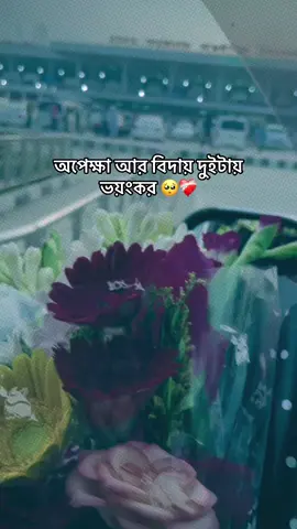 এই সেই Airport যেখানে কেউ কান্না করে আবার কেউ হাসে🥺#mehbubaislammithi👸👀 #foryou #foryoupage #fyp #viral #vews #sapport #নোয়াখালীর_মেয়েmithi🧕 