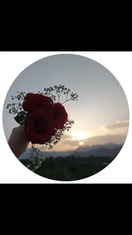 #flowerdp #foryou #aestheticdpz 