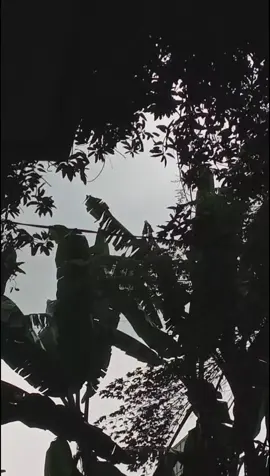 قد نخسر شيئا بسبب الله، لكن لا نخسر الله بسبب شيئ 