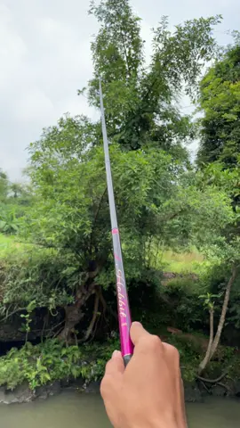Ryoshi hobbit in action jan marai dek dekan🥶🥶 #kaligaweriver #mancingklatenasik #infospotklaten 