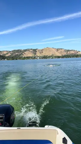 First attempt at barefoot skiing… how did I do? 