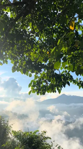 #palusulteng #puncakmatinti1539mdpl 