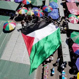 #freepalestine🇵🇸❤️ #freepaleestine #palestine #palestine🇵🇸 #فلسطين #فلسطين #thailand #thailand🇹🇭 