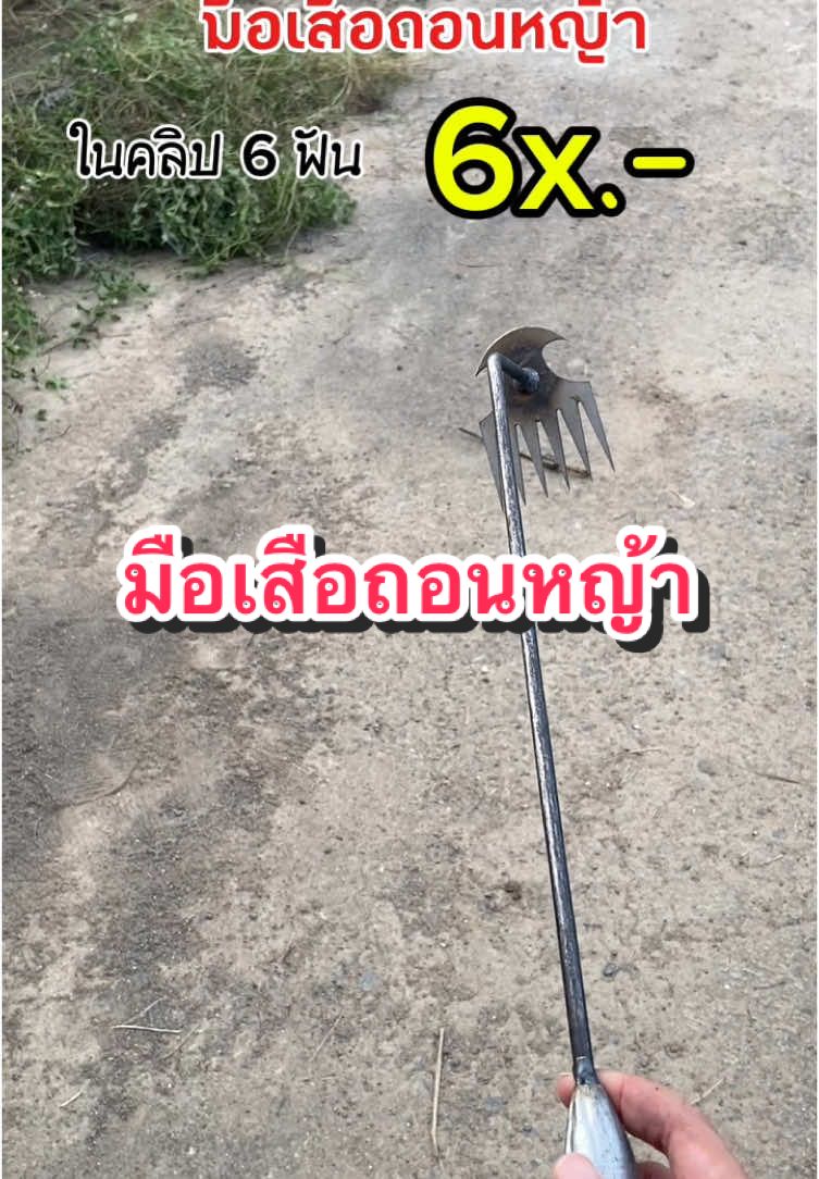 ถอนหญ้ารอบบ้านไม่เจ็บมืออีกต่อไปจ้า #มือเสือถอนหญ้า #ถอนหญ้า #มือเสือกําจัดวัชพืช #CapCut 