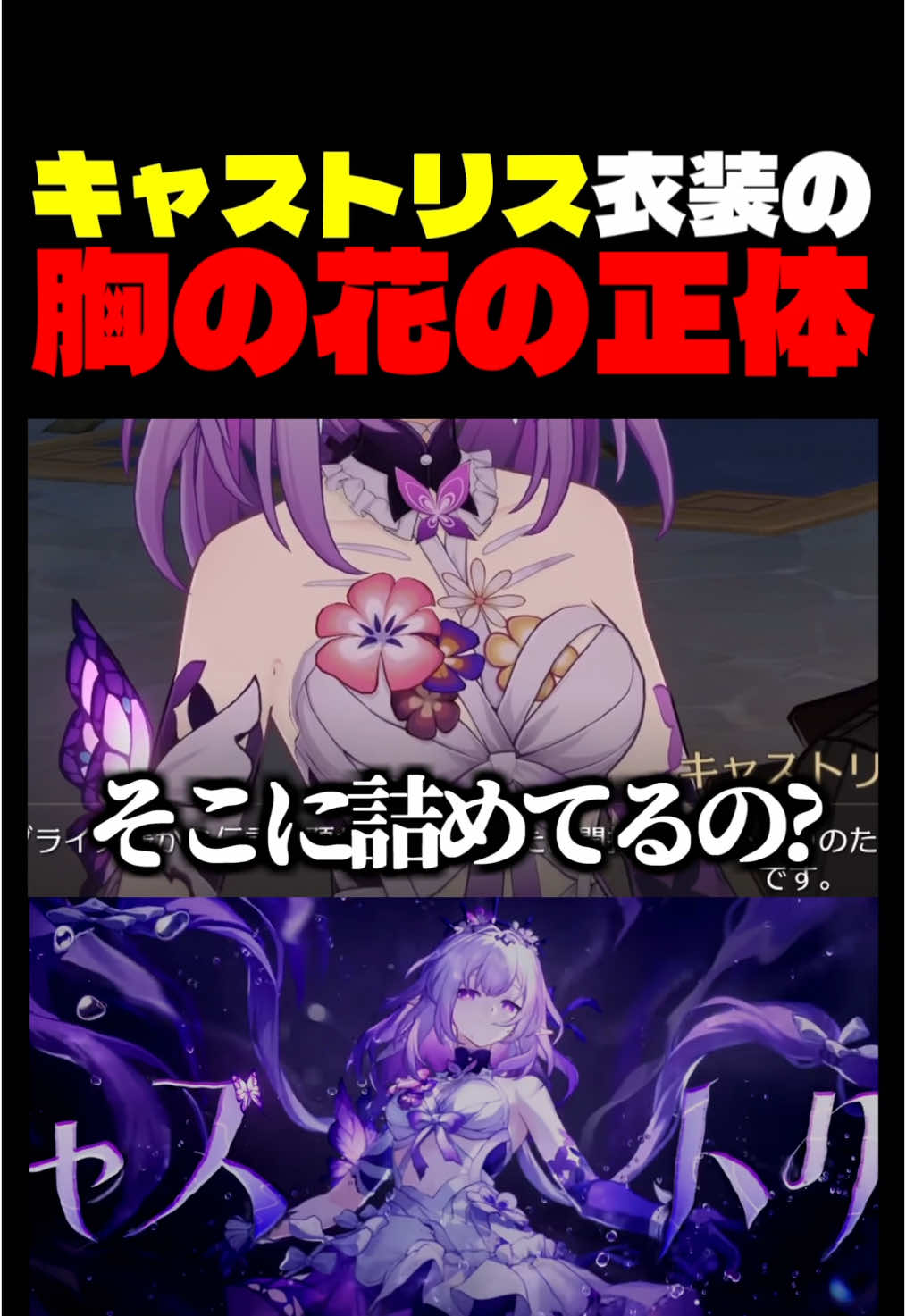 キャストリスの胸に挟まってる花になりたい#崩壊スターレイル #スタレ 