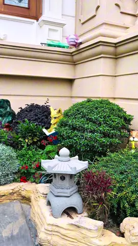 Mọi thứ đã ổn định ❤️#sanvuon #viral #hot #xuhuong2025 #trending #xuhuong #tuongsanvuon 