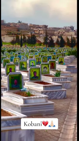 #kurd #kurdistan #rojava #kobani_kurdi_afrin_pamishlo #❤️‍🔥🥀 