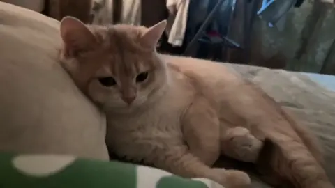 Yên bình là đây chứ đâu