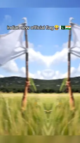 indian new official flag😂😂😂