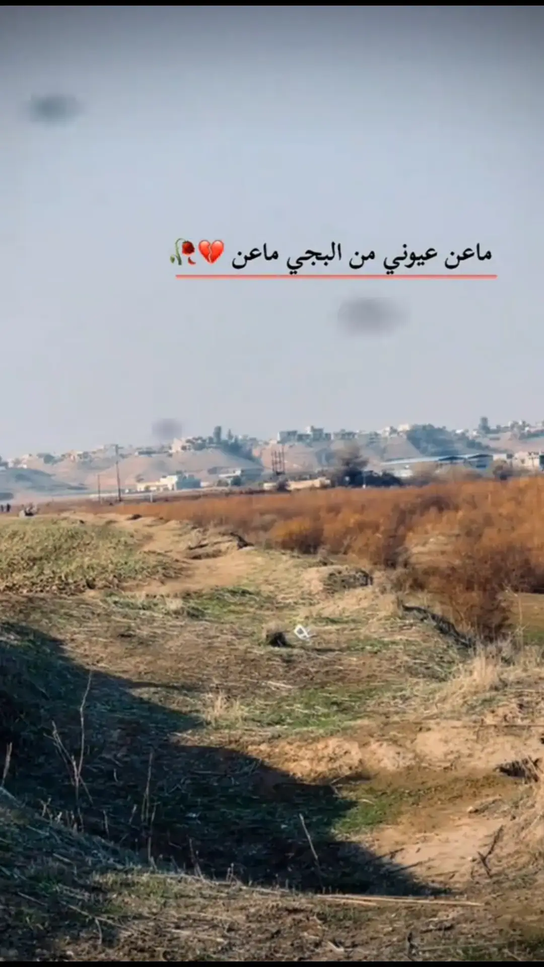 #تجيني #عتابه #تقطع #القلب_الحزين #غريب_جدا #غربه_وطن💔غربه_اهل😭💔 #اوجاع_لاتنتهي_واحلام_لن_تتحقق😴 #اشتاقينه🥺💚