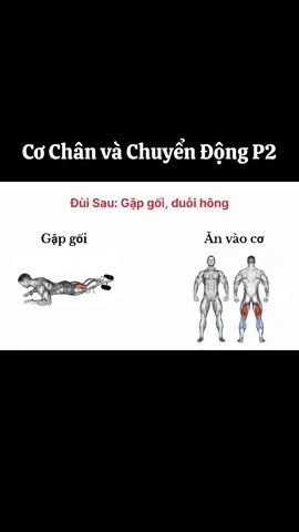 Tập chân theo chuyển động Phần 2. #Calisthenic #TWorkout #Gym #Workout 