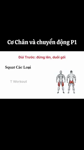 Tập Chân theo từng chuyển động Phần 1. #Workout #Gym #TWorkout #Calisthenic 