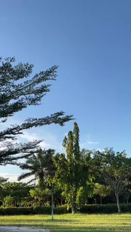 #akumilikmu