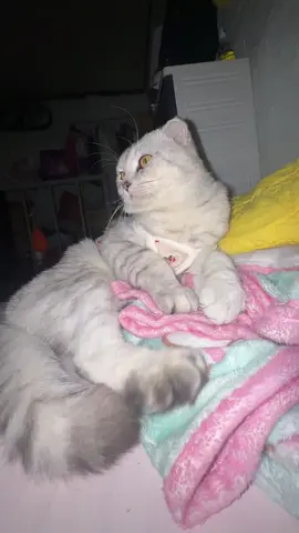 cưnggg
