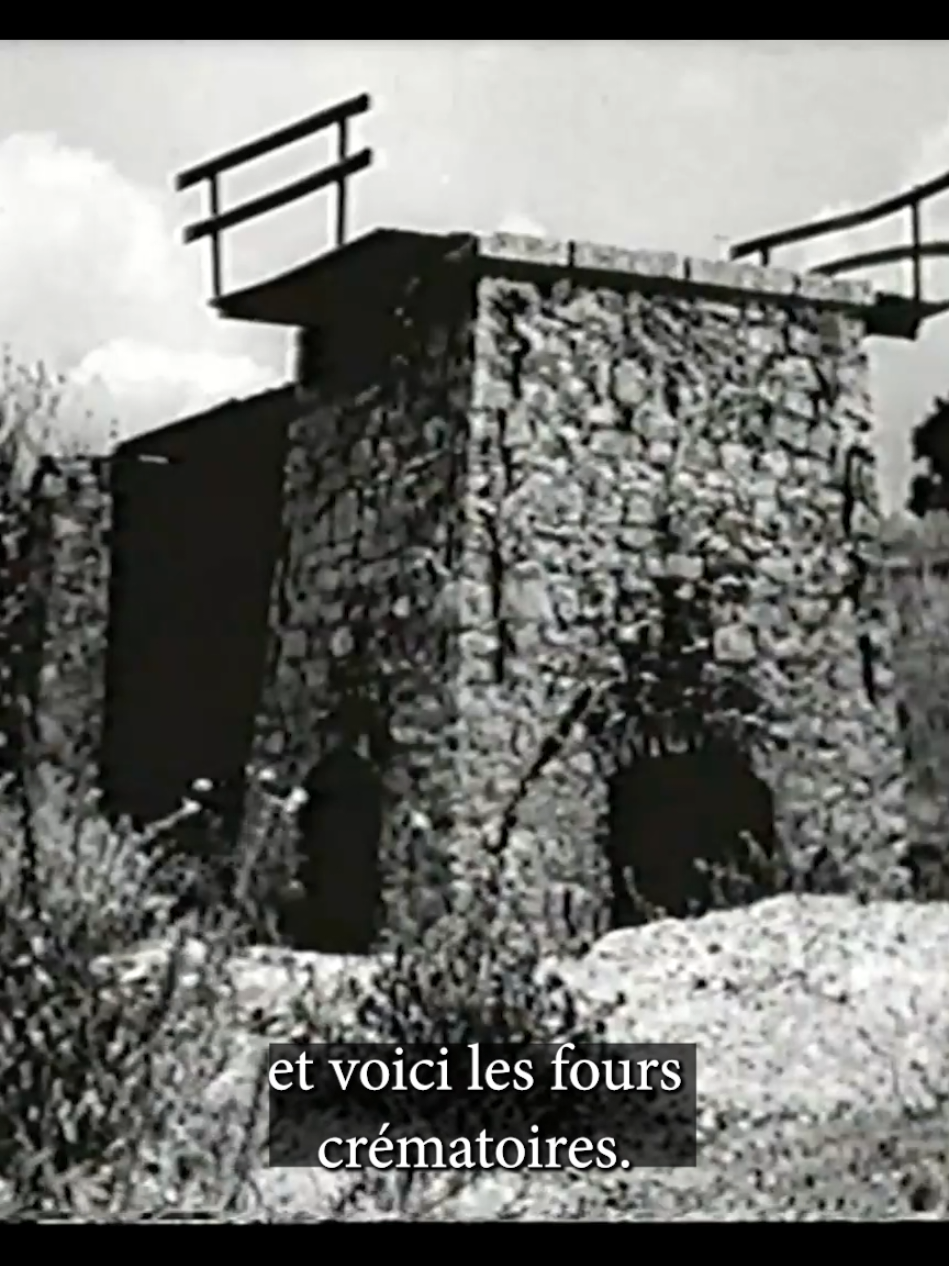 Le 8 mai 1945, Sétif, Guelma, Kherrata.  Extrait du film 'Allons enfants pour l'Algérie' - Karl Gass Disponible en entier ici:  https://www.on-tenk.com/fr/documentaires/histoire/allons-enfants-pour-lalgerie  . . . . . #djazair 🇩🇿 #wwii #8mai1945 #france #archive #setif______19 #guelma #kherrata  #algérie 