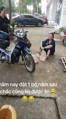#longsedieu #xuhướng 