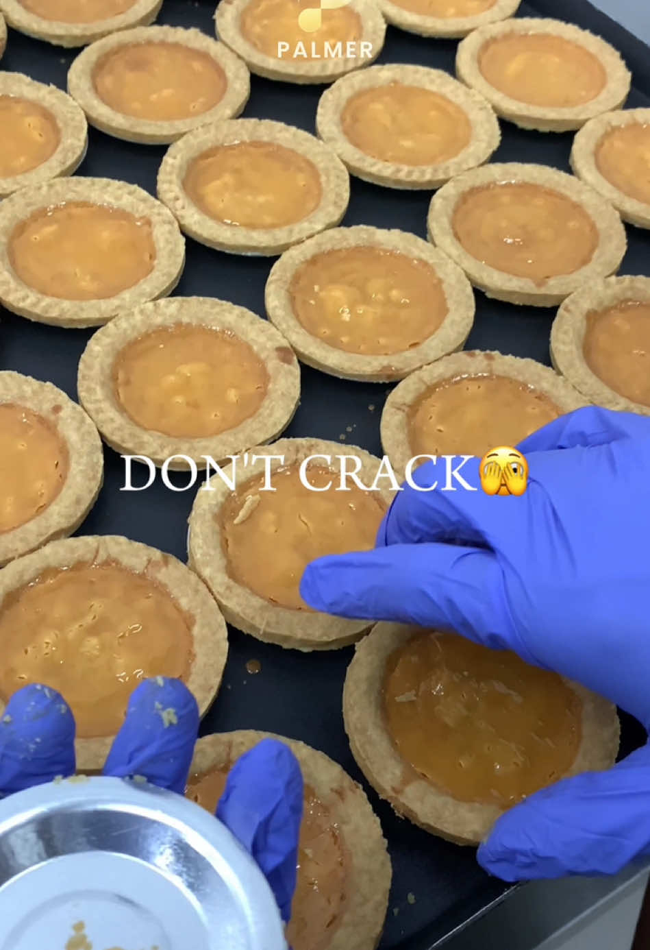 Hi Guys 👋  Awal pembuatan pie susu terasa menantang karena adonan mudah retak setelah dipanggang☺️ Namun, lewat berbagai percobaan dan kesalahan (trial and error), kami mulai memahami penyebabnya: ✨Suhu oven yang terlalu tinggi, isian yang terlalu cair, hingga adonan kulit yang terlalu tipis Pengalaman ini jadi pengingat bahwa proses belajar selalu sejalan dengan kesabaran dan konsistensi😊✨ #Palmer  #PalmerBakery  #fyp #foryourpage #4u #xybca #masukberanda #piesusu 