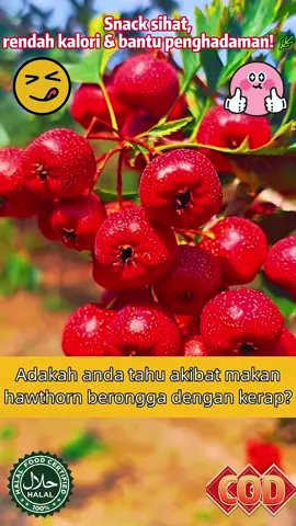 Snack sihat, rendah kalori & bantu penghadaman! 🌿