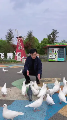 当你的压力大到快要崩溃时，不要和别人去讲，也不要觉得自己委屈，没有人会心疼你。生活的重压如同巨石，每个人都在艰难前 行，倾诉或许只是徒劳，委屈也无人在意。在夜深人静的时候，把心掏出来，自己缝缝补补，然后睡一觉，醒来又是信心百倍。 那是属于自己的救赎时刻，黑暗中独自疗伤，让心再次坚韧。 无人问津也好，技不如人也罢，你都要试着安静下来，自己该干什么就干什么，而不是让烦躁和焦虑毁掉你本就不多的热情和定力，心可以碎，手不能停，该干什么干什么。在崩溃中继续前行，才是一个成年人的素养。这是我们与生活的战斗，是无声却顽强的抗争，哪怕遍体鳞伤，也不能放弃！#离婚 #靠自己