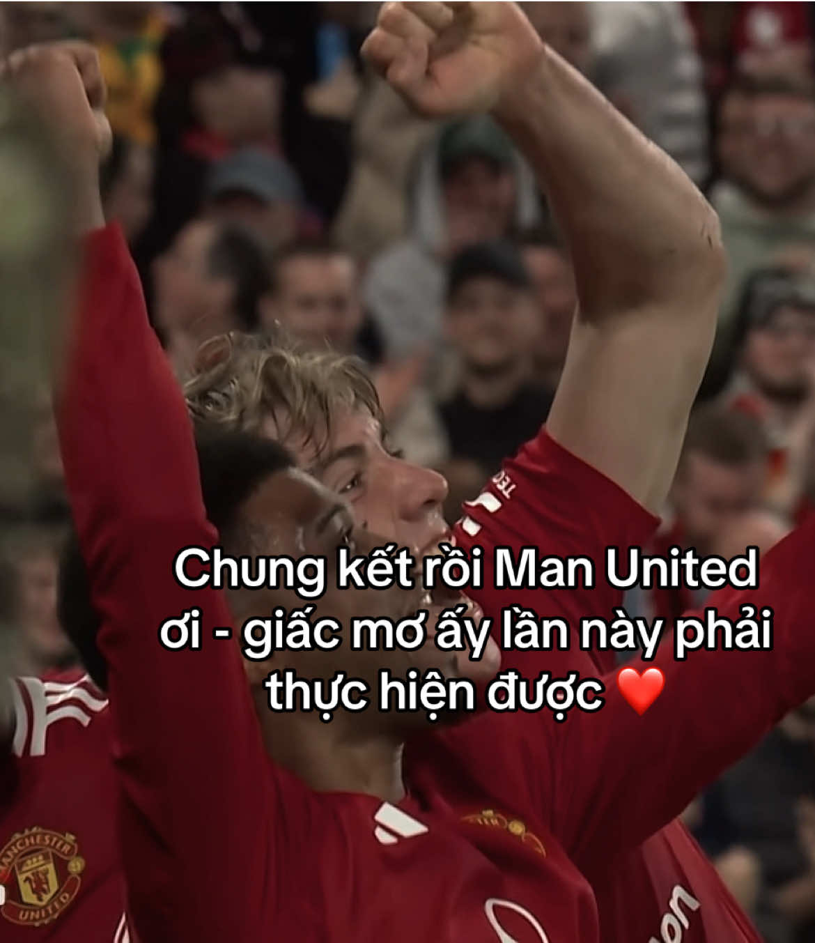 Đội bóng tôi yêu 🥹 #manchesterunited #nhâhtcuanhunggiacmo #manutd #viral 