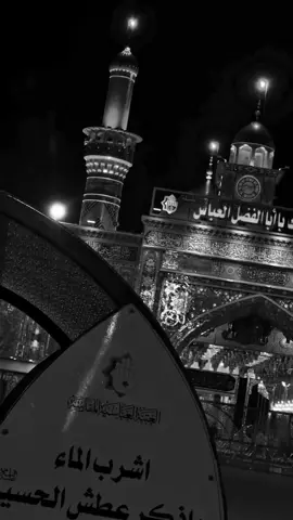 هلهوله للعباس || #الامام_العباس_عليه_السلام #fyp 