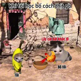 Thịt gà đúng cách#meme #cat #foryou 