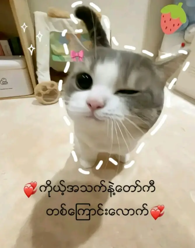 #လက်ပါရင်လိုက်ခ်ပေးရန်😒🤧🤧 #fyppppppppppppppppppppppp 😞😞