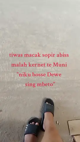 #SerunyaIndonesia #pejuang dollar