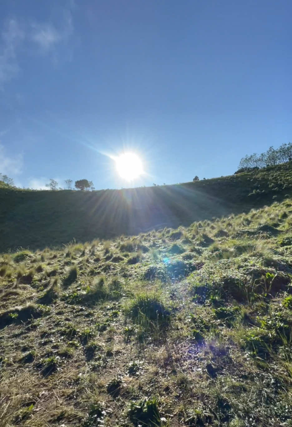 sabana 2🤩 #merbabumountain #merbabuviaselo #merbabu #sabanamerbabu #merbabu3142mdpl #merbabuviathekelan #merbabuviasuwanting #pendakigunung #Hiking 