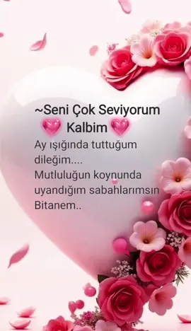 Bağıra bağıra söylediğim şarkılarımsın♥️ Kalbim♥️🥰