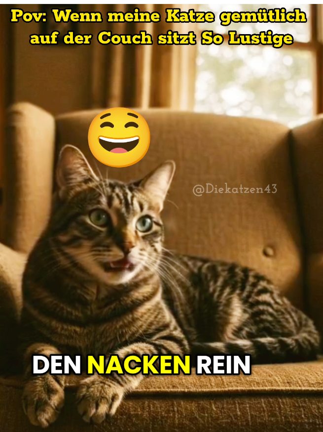 „Wer braucht Comedy, wenn man eine Katze hat lustige Katze verrückte Katze Katze macht Faxen Katze spielt verrückt Katze benimmt sich wie Mensch Katze spricht Deutsch komische Tiere TikTok Katze Katzen Humor süße und lustige Katzen #lustige  #lustig  #lustigevideos  #catcomedy  #lustigekatze  #katzedestages  #Katzenhumor  #katzenvideos  #Katzenliebe  #KatzeMitStyle  #katzekannalles  #katzendrama  #tiktokkatze  #katzeauftiktok  #miaumeme  #süßekatze  #katzespricht  #katzemitattitüde 