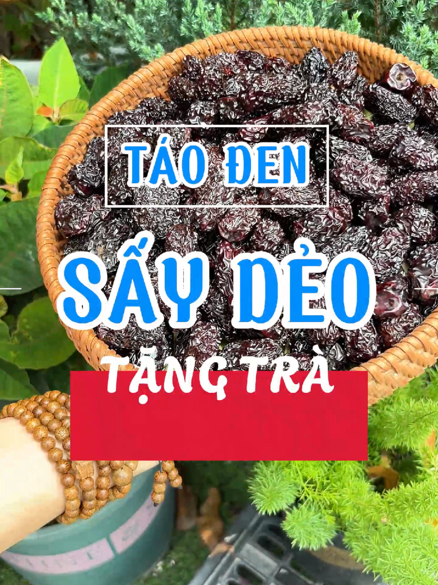 Có nhớ vị táo đen ngày xưa không ?? #taotau #taoden #catlongnhuy 