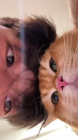 Meow meoww~~