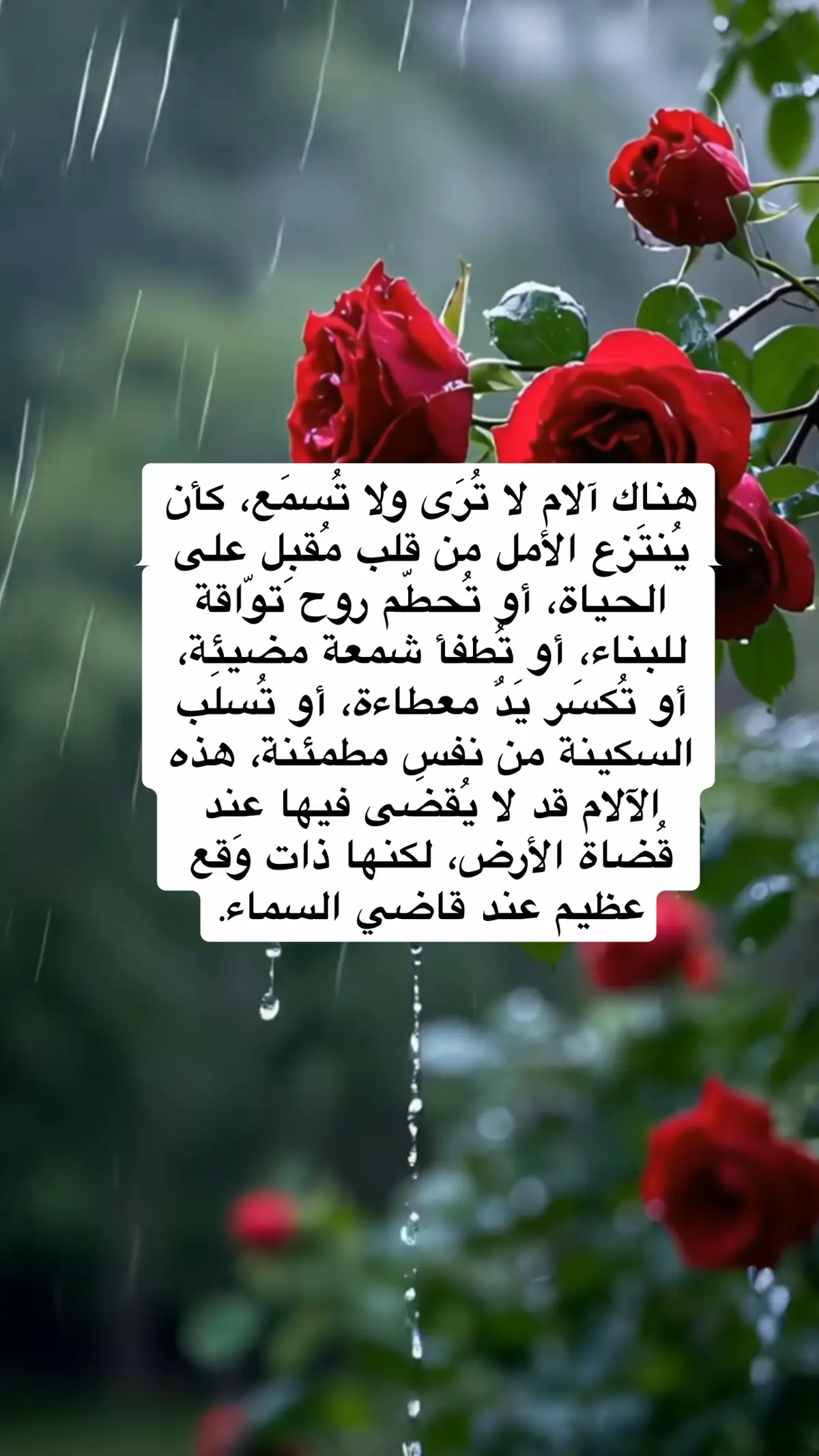 #صباح_الخير #الحمدلله_دائماً_وابداً #اللهم جبرًا#الصلاة_والسلام_عليك_ياحبيبي_يارسول_الله #اكسبلورexplore #يارب_فوضت_امري_اليك #الشعب_الصيني_ماله_حل 