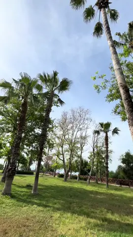 Başarı her gün atılmış küçük adımların toplamıdır🛫☁️#antaly #fypシ #happymoments 