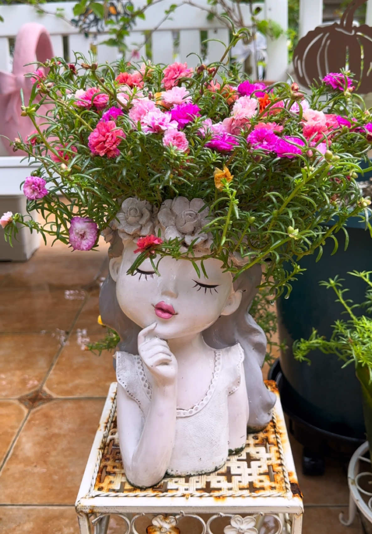 Các tạo hình hoa mười giờ🌸🌸 ai bảo hoa mười giờ ko đẹp nào. Vừa dễ trồng dễ chăm quăng đại cũng sống và ra chi chít hoa cơ. Muốn êm đặc biệt hơn thì tham khảo video nhé. Còn muốn tìm hoa thì biết ở đâu rồi đúng hok nè😉😉 #hoadep #hoasanvuondep #hoacaycanh #hoamuoigio 
