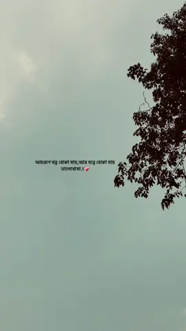 আচরণে যত্ন বোঝা যায়, আর যত্নে বোঝা যায় ভালোবাসা.! ❤️‍🩹#foryou #foryoupage #fypシ #emotional #sad_loading_01 #sad #unfreezemyacount @TikTok Bangladesh @TikTok 
