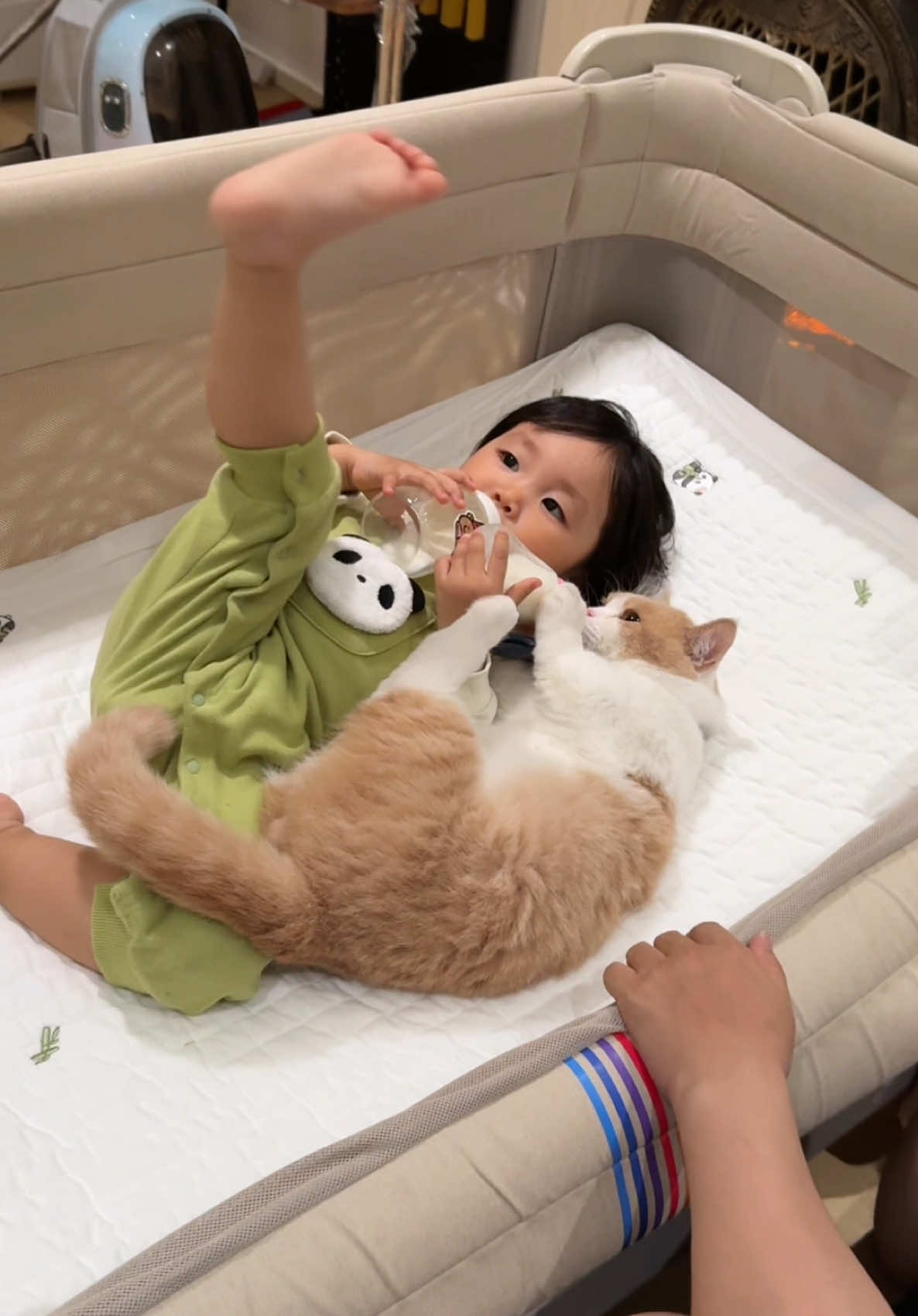 This moment melted my iron heart.#family #catlover #dadlife 