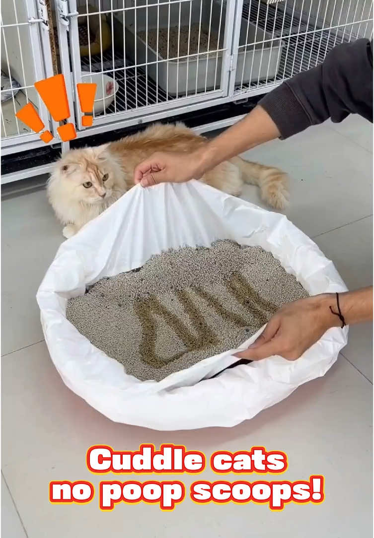 Transform litter duty from 10 mins → 10 secs! #LitterFilterBag#CatHack#PrimeDayPrep#TikTokMadeMeBuyIt