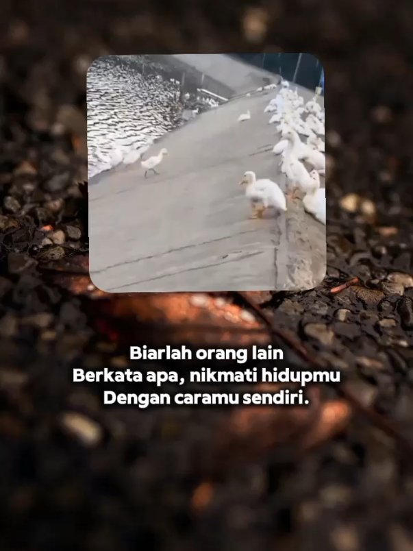 😌😌😌#assalamualaikum #fypp #fypviralシ 