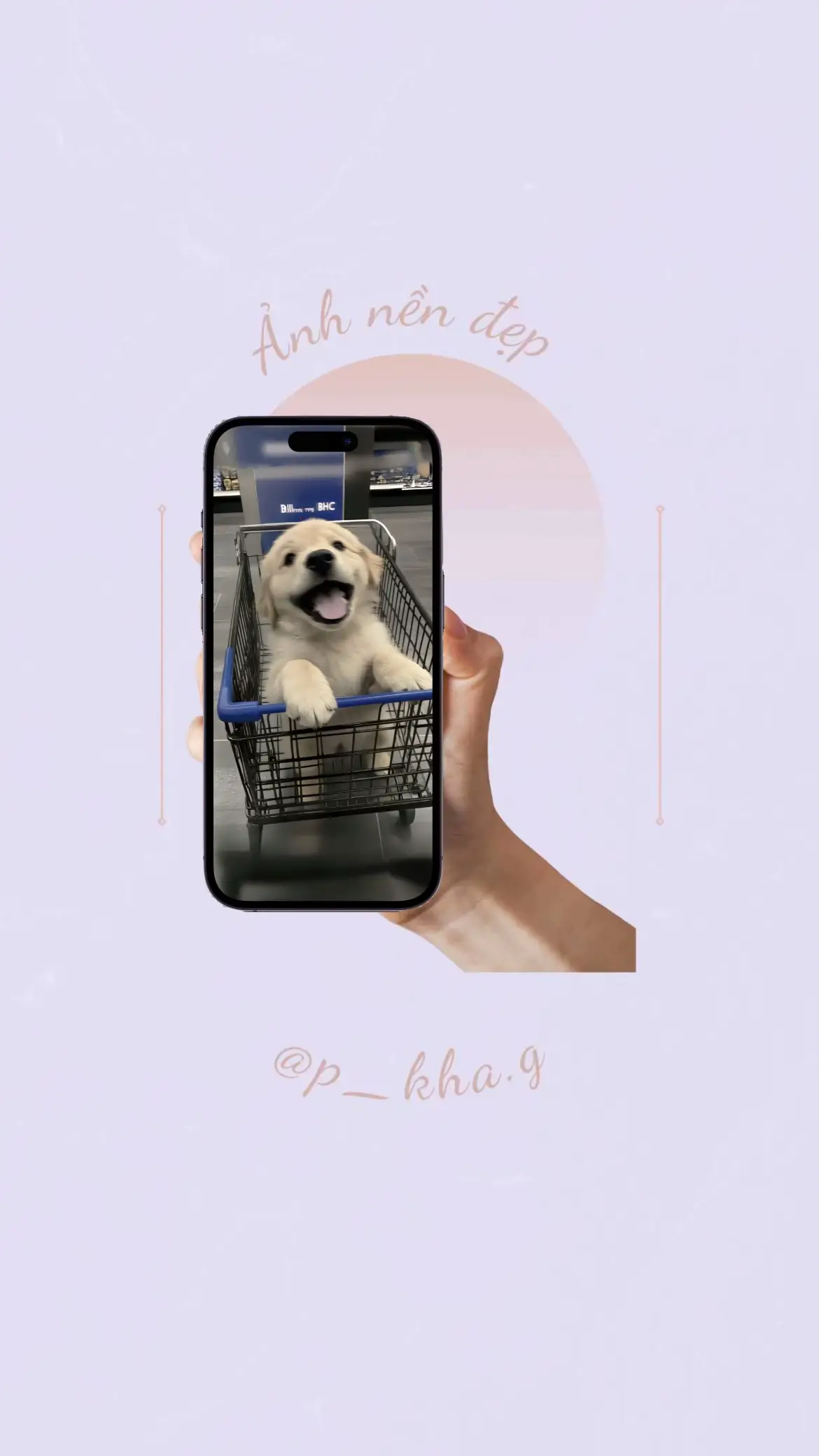 #hinhnen #hinhnendienthoai #hinhnendep #wallpaper #wallpapers #xuhuong #trending #fyp #fyp #khangthieungu