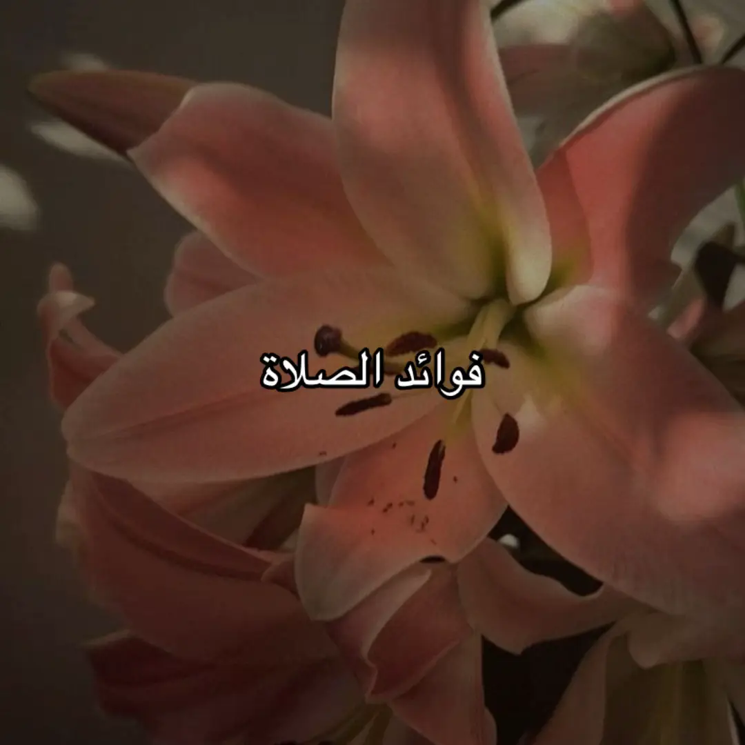 #oops_alhamdulelah #explore #سبحان_الله_وبحمده_سبحان_الله_العظيم #اكسبلورexplore #explore #الحمدلله #سبحان_الله_وبحمده_سبحان_الله_العظيم #Quran 