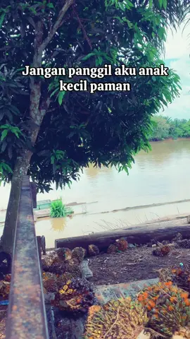 Jangan panggil aku anak kecil paman#fyppppppppppppppppppppppp #tuanmuda #fyp #kotawarinlama #sawit 