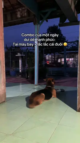 Lan toả năng lượng dui dẻ nàyyy ☺️