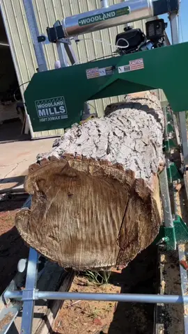 Making some nice planks for shelves out of this old cottonwood #woodworking #sawmill #maker #work #fun